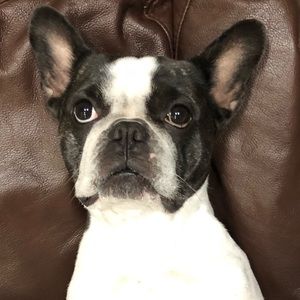 Meet your Posher, Lynn